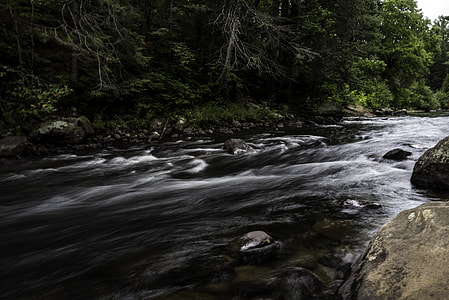 View of Whiskey Rapids at Algonquin Provincial Park, Ontario thumbnail