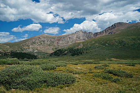 This Colorado Front Range Rocky Mountain Pass is located in Southwestern Clear Creek County in the Pike National Forest, which is west of Denver, and is traversed by the Guanella Pass Scenic Byway. This byway connects I70 at Georgetown to US 285 at Grant. At the summit of this pass are hiking trails which lead to Mount Bierstadt and Mount Evans. Gray's and Torrey's Peaks are also visible from the Guanella Pass Summit. thumbnail