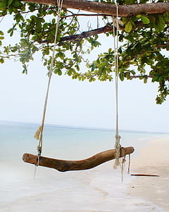 brown wooden swing tied on tree thumbnail