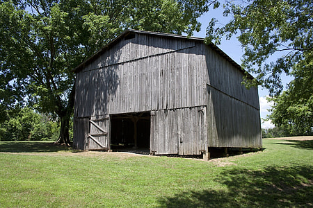 grey wooden storage shed near green leaf tree during daytime thumbnail