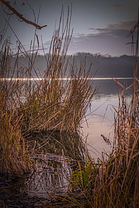 landscape photography of grass and body of water thumbnail