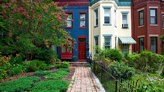 blue house beside brown house photo thumbnail