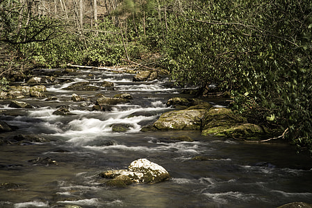 Cascading River Landscape in Great Smoky Mountains National Park, North Carolina thumbnail