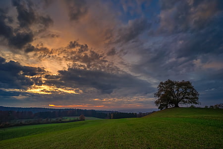 green grass field thumbnail