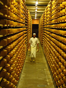 man inside room full of cheese wheels on shelves thumbnail