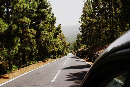 gray asphalt road between green leaf trees thumbnail