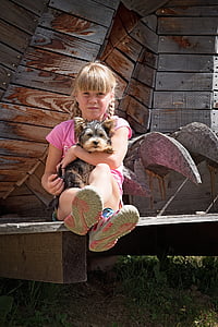 girl hugging black and brown Yorkshire terrier thumbnail