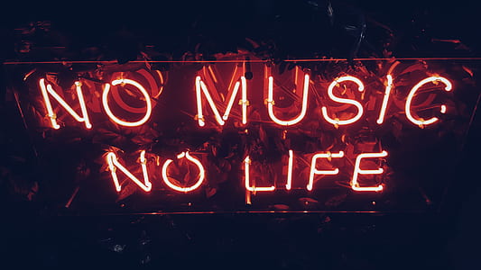 red No Music No Life neon signage thumbnail
