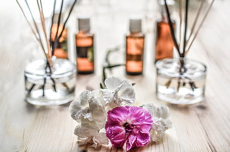 depth of field photograph of pink and white flowers thumbnail