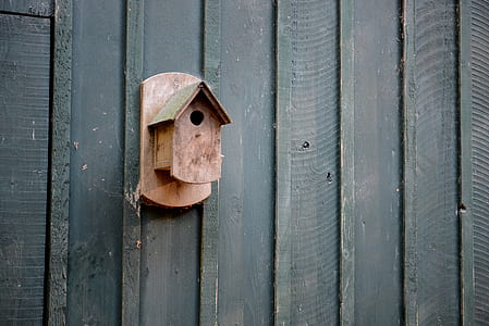 brown wooden birdhouse on wall thumbnail