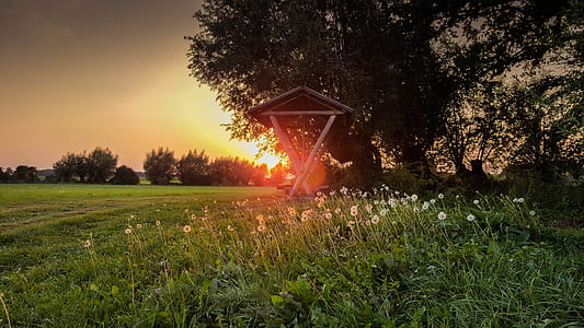photo of brown wooden bench during sunset thumbnail