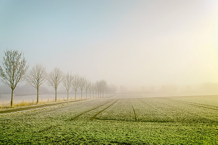 green grass field thumbnail