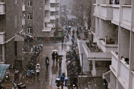 people walking on road beside building thumbnail