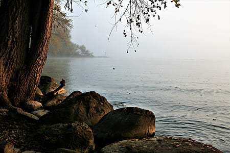 rock formation near body of water thumbnail
