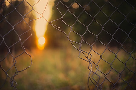 selective focus photo of broken fence thumbnail