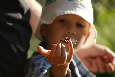 selective focus photography of damselfly on boy's pinky thumbnail
