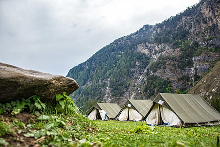 White and Brown Tent Camps thumbnail