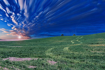 green grass field under blue sky during daytime thumbnail