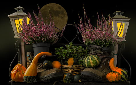 photography of vegetable arrangement thumbnail