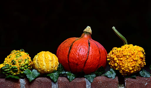 four assorted color and type of rare squashes thumbnail