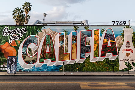 Califia Almond milk painting beside gray concrete road at daytime thumbnail
