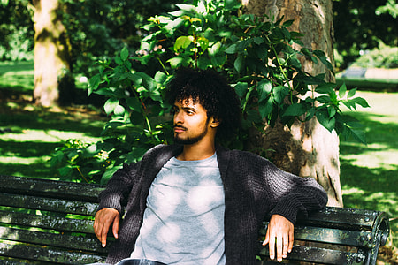 man sitting on bench near tree thumbnail