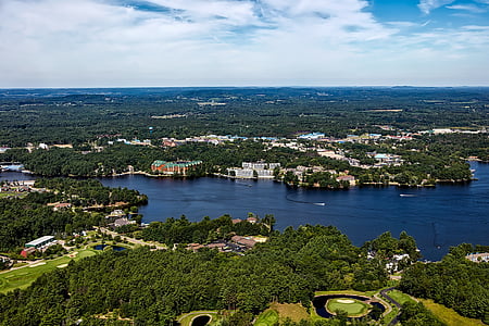 aerial photography of green trees and buildings near body of water at daytime thumbnail