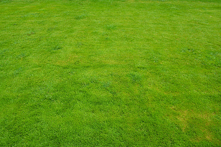 view of green lawn thumbnail
