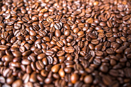 bunch of coffee beans thumbnail