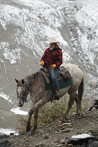 woman riding white horse thumbnail