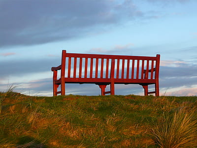 Brown Wooden Bench on Green Grass Field thumbnail