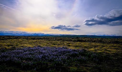 landscape, nature, sky, clouds thumbnail