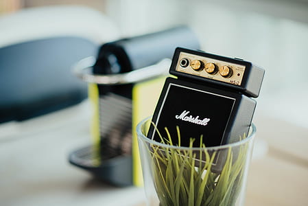 shallow focus photography of black decor thumbnail