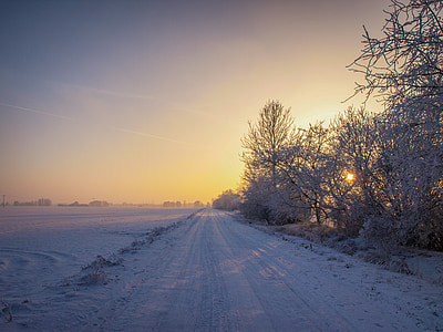 snow on road and trees thumbnail