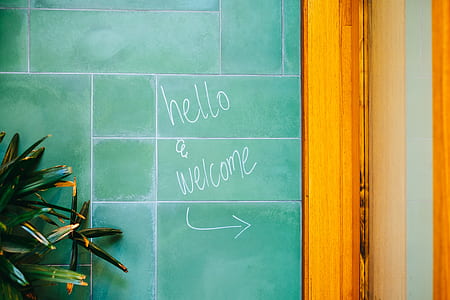 hello welcome painted on wall near green leaf plant thumbnail