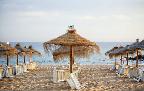 parasols on seashore thumbnail
