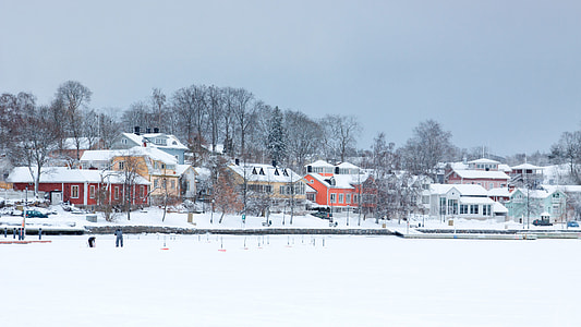 houses covered with snow thumbnail