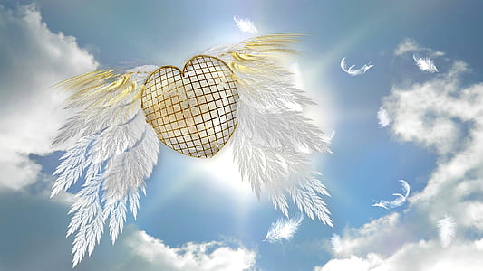 brown heart with wings flying on air thumbnail