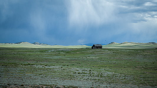 green grass field thumbnail