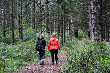 two women walking on forest thumbnail