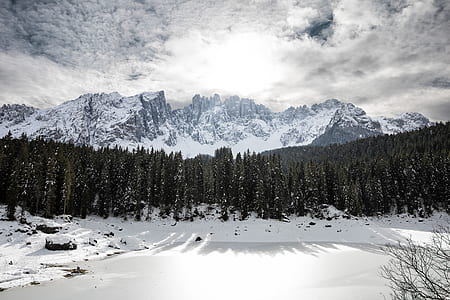 forest and mountains with snow thumbnail