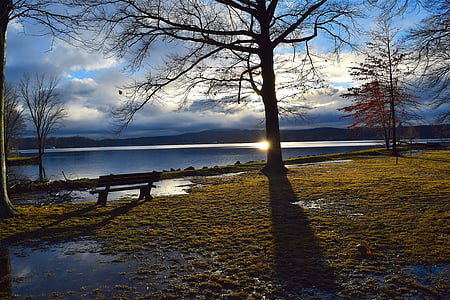 silhouette photo of bare tree near body of water thumbnail