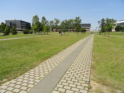 grey concrete brick pathway near trees and green grass field thumbnail