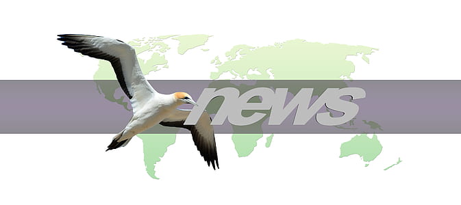 news text thumbnail