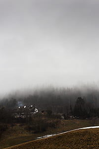 house near forest covered with fogs thumbnail