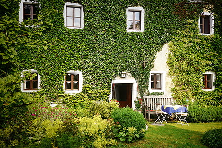 house with plants thumbnail