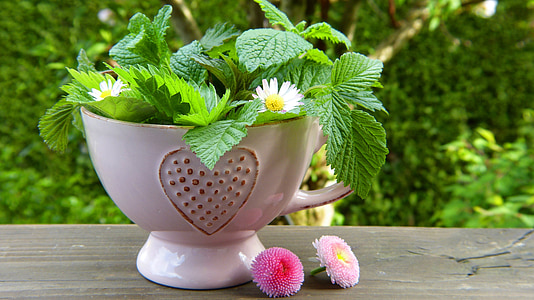 green potted plant thumbnail