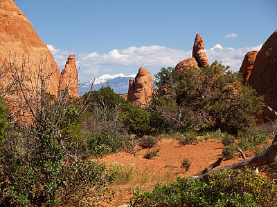 Devil'S Garden, Arches National Park thumbnail