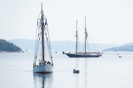 white sail boat on body of water thumbnail