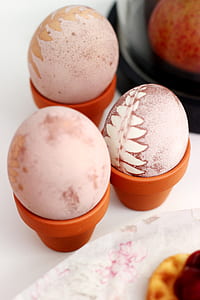 three beige eggs in palstic holders thumbnail